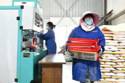 推動產業融合發展，助力糧食增產增收——糧食加工產業的戰略路徑