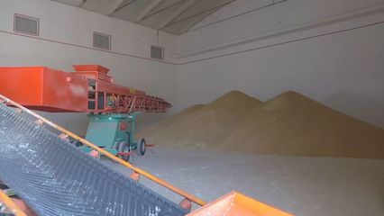 洋浦國際糧油物流加工產業(yè)園加快建設，賦能糧食加工產業(yè)升級